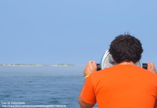 Midias_Sociais_Cafe_Aberje.ppt
Foto de metacarpals
http://www.flickr.com/photos/94429242@N00/178836230   -5-
 