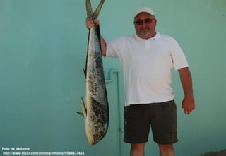 Midias_Sociais_Cafe_Aberje.ppt
Foto de dadamw
http://www.flickr.com/photos/nmonic1/548437423   -6-
 