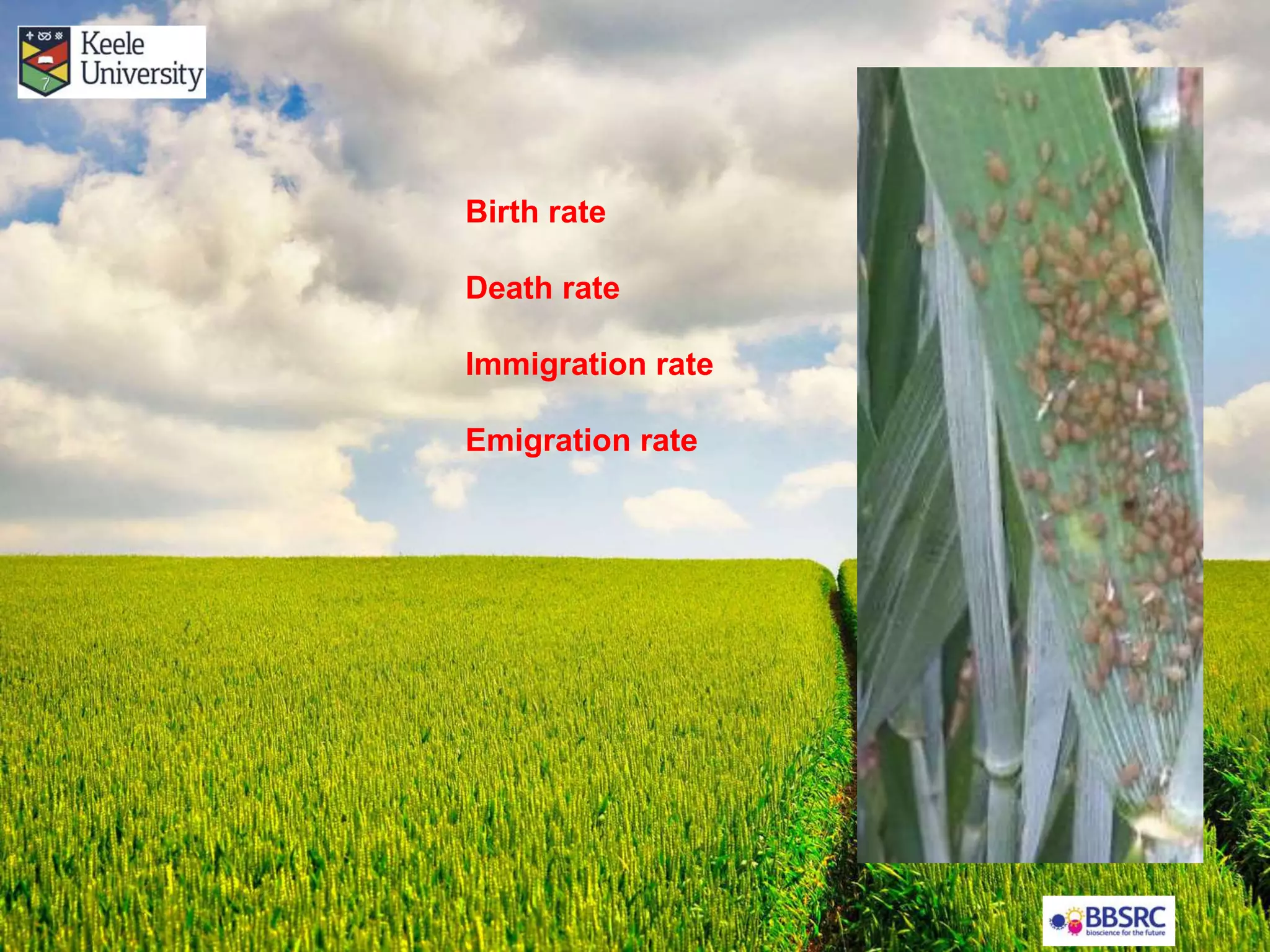 Birth rate
Death rate
Immigration rate
Emigration rate
 