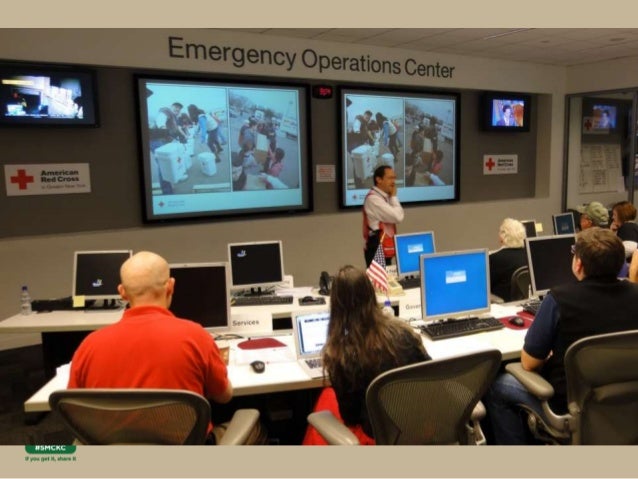 They Requested one hundred Experts About How to Get More Instagram Followers on Your Business Page. One Reply Stood Out