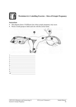 Obstetric Multiples Worksheets.pdf SM CMT 05213 Obstetrics and gynaecology II (NTA Level 5) | PDF