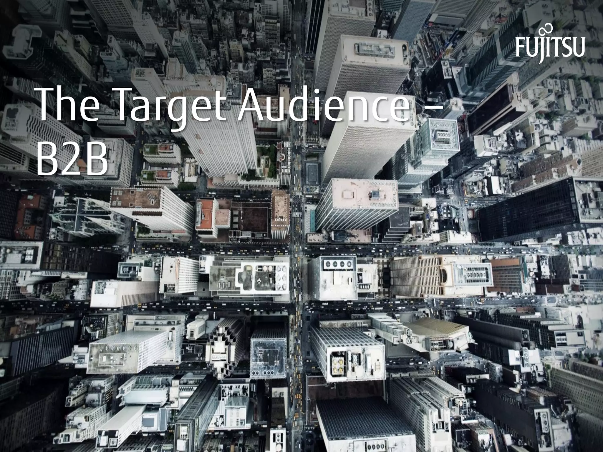 INTERNAL USE ONLY 
The Target Audience – 
B2B 
 