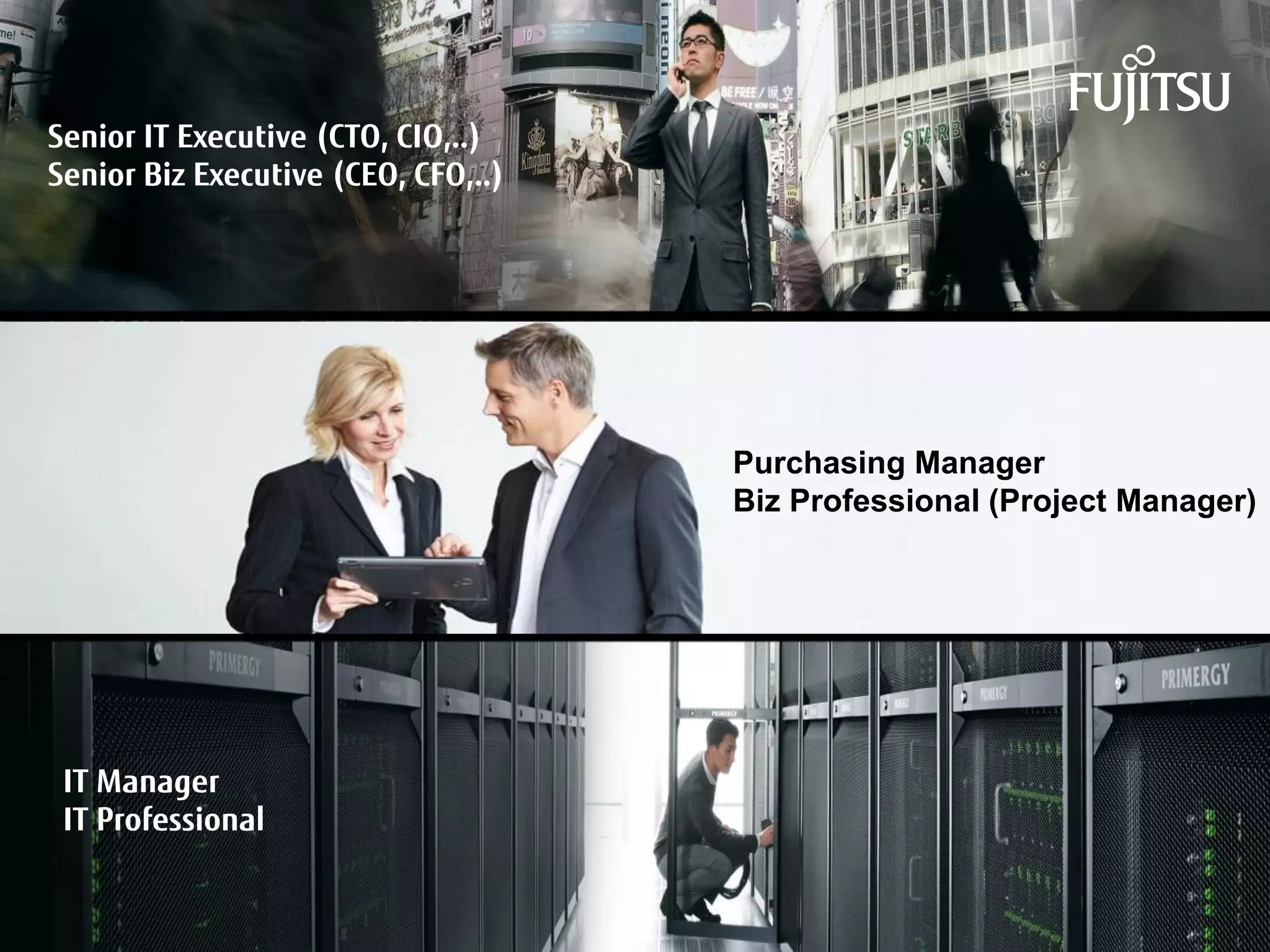 INTERNAL USE ONLY 
Senior IT Executive (CTO, CIO,..) 
Senior Biz Executive (CEO, CFO,..) 
IT Manager 
IT Professional 
Purchasing Manager 
Biz Professional (Project Manager) 
 