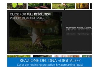 REAZIONE DEL DNA «DIGITALE»?
Script per hotlinking protection & watermarking (asap)
REAZIONE DEL DNA «DIGITALE»?
Script per hotlinking protection & watermarking (asap)
 