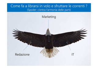 Come fa a librarsi in volo e sfruttare le correnti ?
(Spoiler: c’entra l’armonia delle parti)
Come fa a librarsi in volo e sfruttare le correnti ?
(Spoiler: c’entra l’armonia delle parti)
Redazione IT
Marketing
 