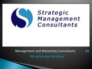We grow your business      Management and Marketing Consultants 