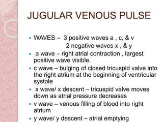 JUGULAR VENOUS PULSE
 WAVES – 3 positive waves a , c, & v
2 negative waves x , & y
 a wave – right atrial contraction , largest
positive wave visible.
 c wave – bulging of closed tricuspid valve into
the right atrium at the beginning of ventricular
systole
 x wave/ x descent – tricuspid valve moves
down as atrial pressure decreases
 v wave – venous filling of blood into right
atrium
 y wave/ y descent – atrial emptying
 