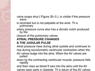 valve snaps shut ( Figure 30–3 ), is visible if the pressure
wave
is recorded but is not palpable at the wrist. Th e
pulmonary
artery pressure curve also has a dicrotic notch produced
by the
closure of the pulmonary valves.
ATRIAL PRESSURE CHANGES
& THE JUGULAR PULSE
Atrial pressure rises during atrial systole and continues to
rise during isovolumetric ventricular contraction when the
AV valves bulge into the atria. When the AV valves are
pulled
down by the contracting ventricular muscle, pressure falls
rapidly
and then rises as blood fl ows into the atria until the AV
valves open early in diastole. Th e return of the AV valves
 