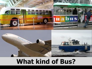 What kind of Bus? 