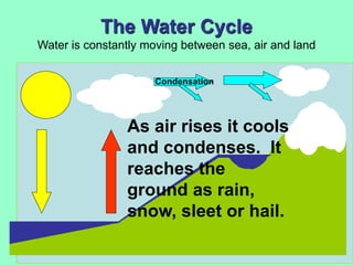 The Water Cycle
Water is constantly moving between sea, air and land
Condensation
As air rises it cools
and condenses. It
reaches the
ground as rain,
snow, sleet or hail.
 