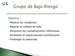 Histología de Médula Osea