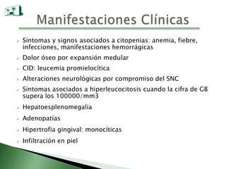 Hiposegmentación; anomalía de Pelger-Hüet