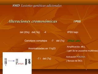 SSMMDD LLeessiioonneess ggeennééttiiccaass aaddiicciioonnaalleess 
AAlltteerraacciioonneess ccrroommoossóómmiiccaass 
I PSS 
del (20q) del( 5q) -4 IPSS bajo 
Cariotipos complejos -7 del (7q) IPSS alto 
Anormalidades en 11q23 
-7 / del (7q) 
Amplificación MLL 
( gen de la Leucemia multilínea) 
Activación PPDDGGFFRRAA 
( fibrosis de MO) 
 
