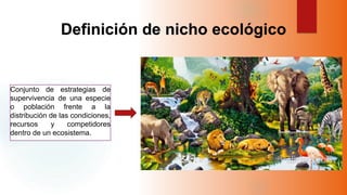Nicho ecológico | PPT