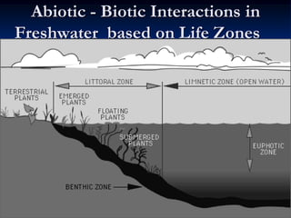 Abiotic - Biotic Interactions in
Freshwater based on Life Zones
 