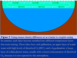 In summer, such lakes become stratified into different temperature layers
that resist mixing. These lakes have and epilimnion, an upper layer of warm
water with high levels of dissolved O2 (DO ), and a hypolimnion, a lower
layer of colder,denser water, usually with a lower concentration of dissolved
O2, because it is not exposed to the atmosphere.
 