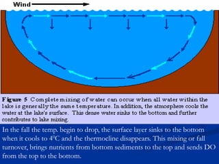 In the fall the temp. begin to drop, the surface layer sinks to the bottom
when it cools to 40C and the thermocline disappears. This mixing or fall
turnover, brings nutrients from bottom sediments to the top and sends DO
from the top to the bottom.
 