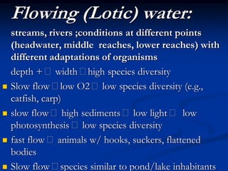 Flowing (Lotic) water:
    streams, rivers ;conditions at different points
    (headwater, middle reaches, lower reaches) with
    different adaptations of organisms
    depth + width high species diversity
   Slow flow low O2 low species diversity (e.g.,
    catfish, carp)
   slow flow high sediments low light        low
    photosynthesis low species diversity
   fast flow animals w/ hooks, suckers, flattened
    bodies
   Slow flow species similar to pond/lake inhabitants
 