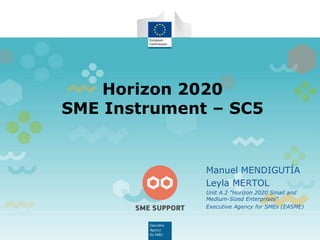 Manuel MENDIGUTÍA
Leyla MERTOL
Unit A.2 "Horizon 2020 Small and
Medium-Sized Enterprises"
Executive Agency for SMEs (EASME)
Horizon 2020
SME Instrument – SC5
 