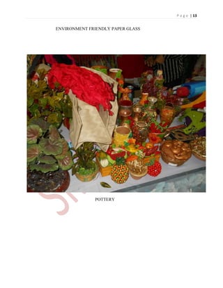 P a g e | 13
ENVIRONMENT FRIENDLY PAPER GLASS
POTTERY
 