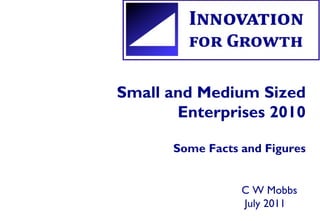 Small and Medium Sized 
Enterprises 2010 
Some Facts and Figures 
C W Mobbs 
July 2011 
 