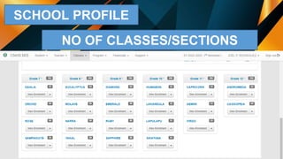 SCHOOL PROFILE
NO OF CLASSES/SECTIONS
 