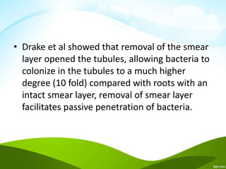 • Drake et al showed that removal of the smear
layer opened the tubules, allowing bacteria to
colonize in the tubules to a much higher
degree (10 fold) compared with roots with an
intact smear layer, removal of smear layer
facilitates passive penetration of bacteria.
 