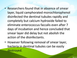 • Researchers found that in absence of smear
layer, liquid camphorated monochlorophenol
disinfected the dentinal tubules rapidly and
completely but calcium hydroxide failed to
eliminate enterococcus faccalis even after 7
days of incubation and hence concluded that
smear layer did delay but not abolish the
action of the disinfectants.
• However following removal of smear layer,
bacteria in dentinal tubules can be easily
destroyed.
 