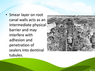 • Smear layer on root
canal walls acts as an
intermediate physical
barrier and may
interfere with
adhesion and
penetration of
sealers into dentinal
tubules.
 