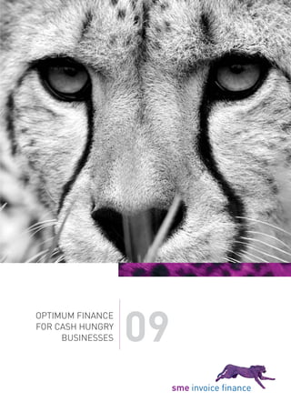 09
OPTIMUM FINANCE
FOR CASH HUNGRY
     BUSINESSES
 