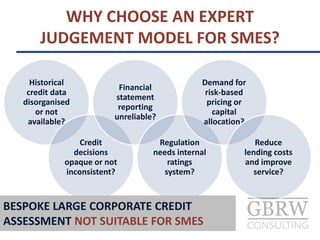 Historical
credit data
disorganised
or not
available?
Credit
decisions
opaque or
inconsistent?
Financial
statement
reporting
unreliable?
Regulation
needs internal
ratings
system?
Demand for
risk-based
pricing or
capital
allocation?
Reduce
lending costs
and improve
service?
WHY CHOOSE AN EXPERT
JUDGEMENT MODEL FOR SMES?
BESPOKE LARGE CORPORATE CREDIT
ASSESSMENT NOT SUITABLE FOR SMES
 
