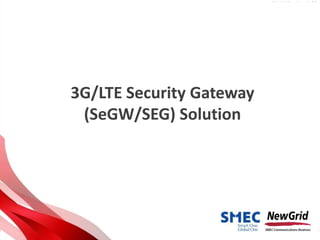 Table of contents
3G/LTE Security Gateway
(SeGW/SEG) Solution
 