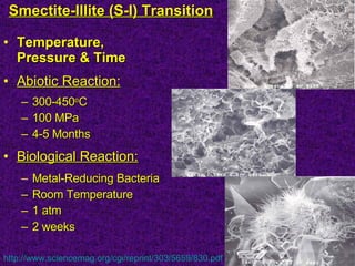 Smectites | PPT