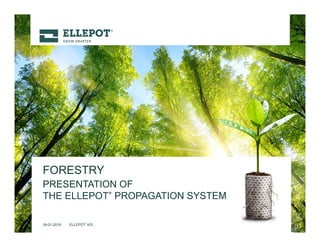18-01-2019 ELLEPOT A/S
PRESENTATION OF
THE ELLEPOT® PROPAGATION SYSTEM
FORESTRY
 