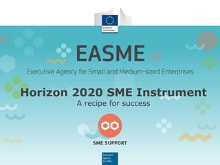 Horizon 2020 SME Instrument
A recipe for success
 