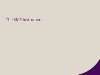 The SME Instrument
 
