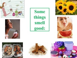 Some
things
smell
good: