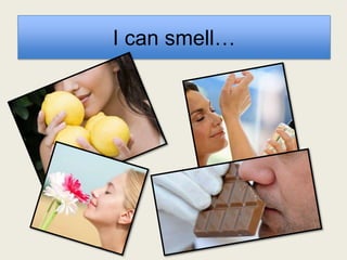Smell | PPTX