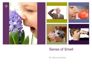 +

Sense of Smell
By: Abbi and Jessica

 