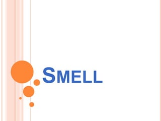 SMELL
 