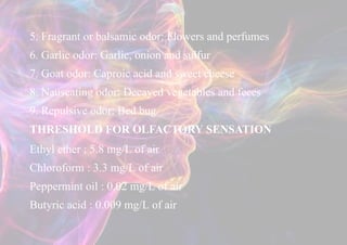 Physiology of SMELL - Copy.pptx xxxxxxx | PPTX