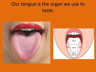 Our tongue is the organ we use to
taste.
 