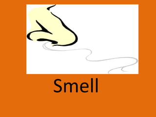 Smell
 