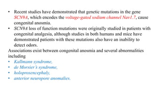 • Recent studies have demonstrated that genetic mutations in the gene
SCN9A, which encodes the voltage-gated sodium channel Nav1.7, cause
congenital anosmia.
• SCN9A loss of function mutations were originally studied in patients with
congenital analgesia, although studies in both humans and mice have
demonstrated patients with these mutations also have an inability to
detect odors.
Associations exist between congenital anosmia and several abnormalities
including
• Kallmann syndrome,
• de Morsier’s syndrome,
• holoprosencephaly,
• anterior neuropore anomalies.
 
