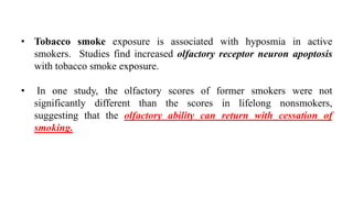 • Tobacco smoke exposure is associated with hyposmia in active
smokers. Studies find increased olfactory receptor neuron apoptosis
with tobacco smoke exposure.
• In one study, the olfactory scores of former smokers were not
significantly different than the scores in lifelong nonsmokers,
suggesting that the olfactory ability can return with cessation of
smoking.
 