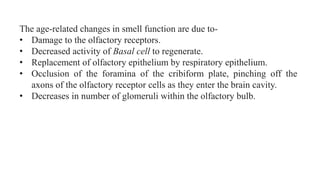 The age-related changes in smell function are due to-
• Damage to the olfactory receptors.
• Decreased activity of Basal cell to regenerate.
• Replacement of olfactory epithelium by respiratory epithelium.
• Occlusion of the foramina of the cribiform plate, pinching off the
axons of the olfactory receptor cells as they enter the brain cavity.
• Decreases in number of glomeruli within the olfactory bulb.
 