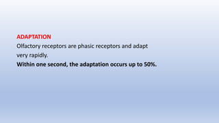 ADAPTATION
Olfactory receptors are phasic receptors and adapt
very rapidly.
Within one second, the adaptation occurs up to 50%.
 