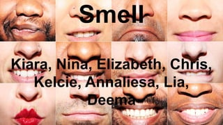 Smell
Kiara, Nina, Elizabeth, Chris,
Kelcie, Annaliesa, Lia,
Deema
 