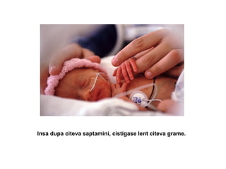 Insa dupa citeva saptamini, cistigase lent citeva grame.    