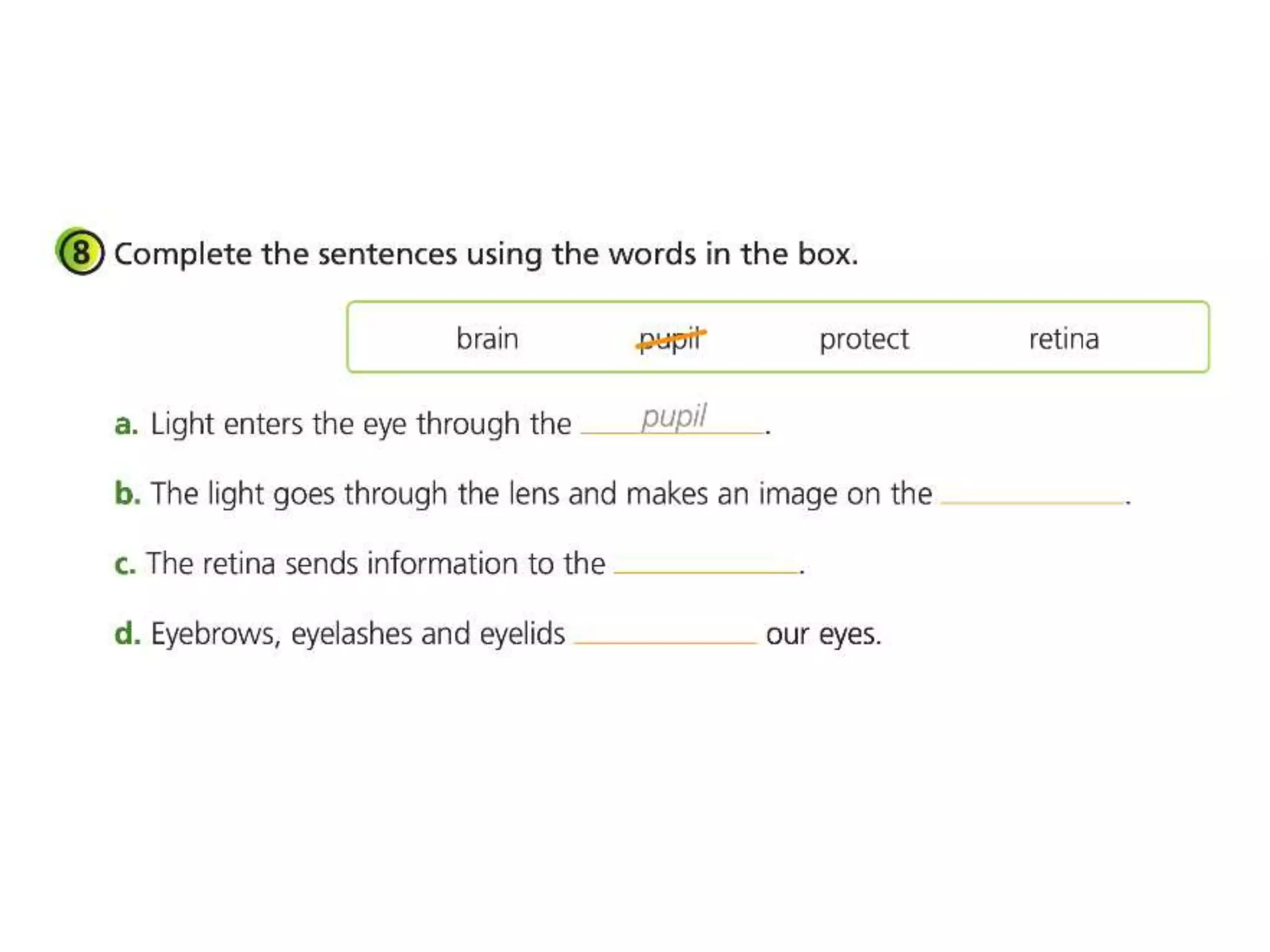 Smell taste and touch